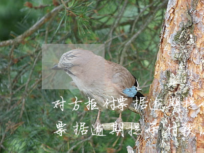 对方拒付票据逾期提示付款说明-对方拒付票据逾期提示付款说明怎么写