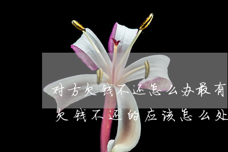 对方欠钱不还怎么办最有效的方法(如果遇到欠钱不还的应该怎么处理)