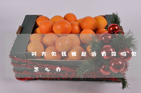 对方欠钱被起诉有效吗(欠款对方起诉了我该怎么办)