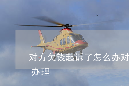 对方欠钱起诉了怎么办(对方欠钱起诉了怎么办理)