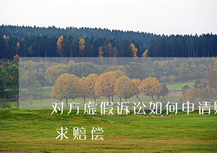 对方虚假诉讼如何申请赔偿，虚假诉讼如何要求赔偿