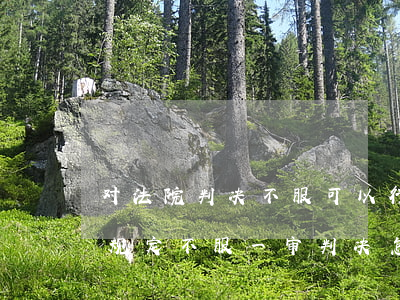 对法院判决不服可以行政诉讼吗(行政诉讼法规定不服一审判决怎么办)