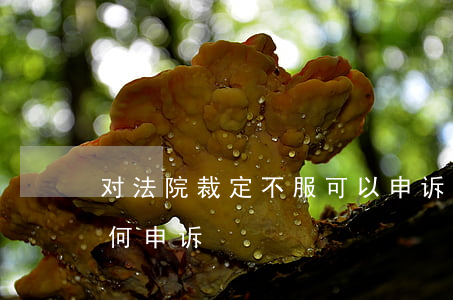 对法院裁定不服可以申诉吗(对裁定书不服如何申诉)