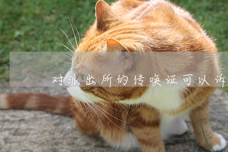 对派出所的传唤证可以诉讼吗(法庭传唤证)