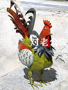 对老公失望心冷想离婚