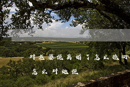 对老婆说离婚了怎么挽回(老婆决定离婚,我该怎么对她说)
