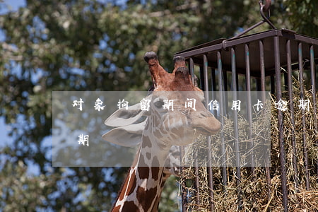 对象拘留期间信用卡逾期(刑拘期间信用卡逾期)