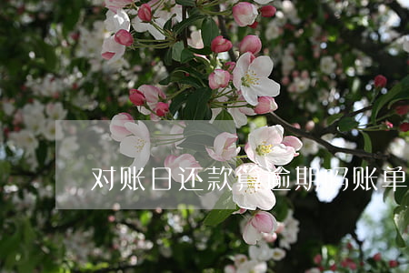 对账日还款算逾期吗(账单日是还款日吗)