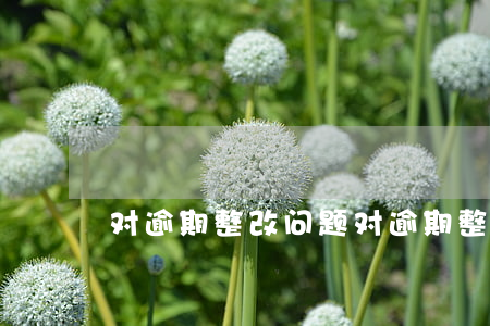 对逾期整改问题(对逾期整改问题的建议)