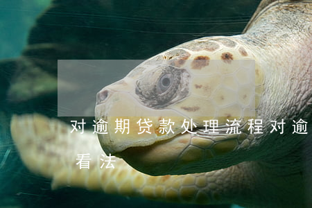 对逾期贷款处理流程 对逾期贷款处理流程的看法