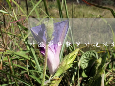 对逾期贷款审计建议(银行信贷业务审计建议)