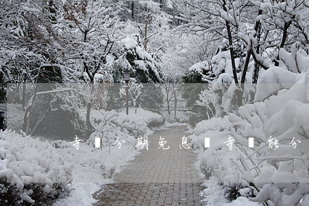 寺庫分期免息嗎(寺庫能分期付款嗎)