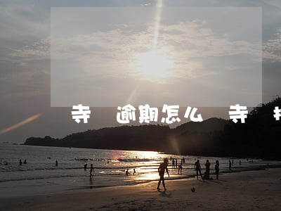 寺庫逾期怎么還(寺庫拖延貨款)