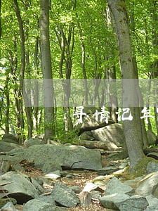 寻情记年近九旬夫妻闹离婚