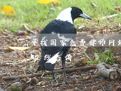 寻找国家免费律师网站(国家免费律师事务所在线咨询)