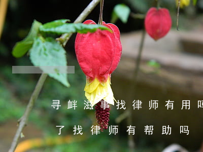 寻衅滋事找律师有用吗(寻衅滋事拘留15天了,找律师有帮助吗)