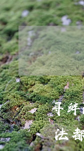 寻衅滋事罪2019最新标准出台，小心犯了法都不知道