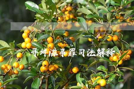 寻衅滋事罪司法解释