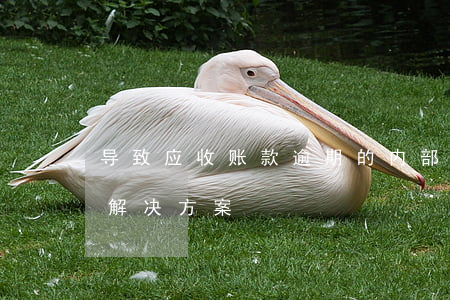 导致应收账款逾期的内部原因(应收账款逾期解决方案)