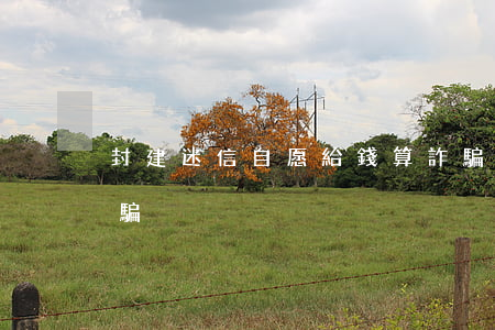 封建迷信自愿給錢算詐騙么(利用封建迷信詐騙)