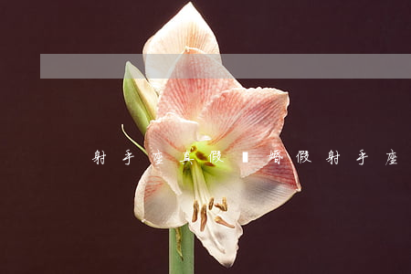 射手座真假離婚(假射手座是怎么樣的)