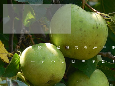 将婚前家庭共有房产更名为一方，离婚应视作一方个人财产还是夫妻共同财产？