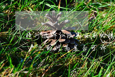 将行政诉讼法实施前的楼花抵押记载于现房产上的行为是否可诉