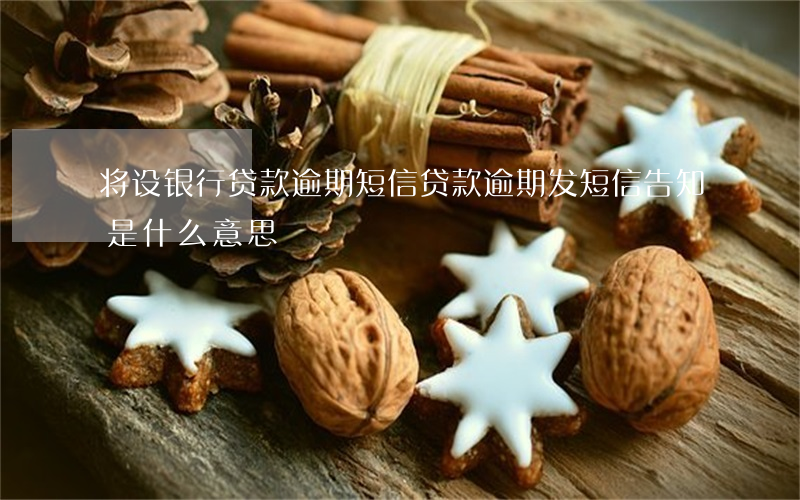 将设银行贷款逾期短信(贷款逾期发短信告知是什么意思?)