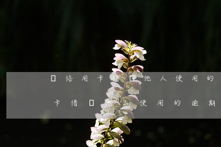 將信用卡借給他人使用的逾期說明函（將信用卡借給他人使用的逾期說明）
