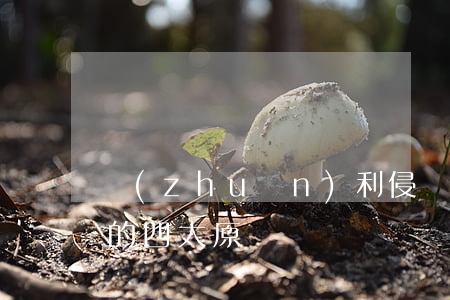 專(zhuān)利侵權(quán)判定的四大原則