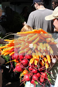 專(zhuān)利實(shí)質(zhì)審查費(fèi)怎么交