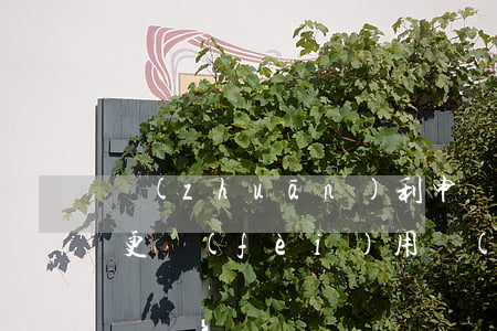 專(zhuān)利申請(qǐng)人變更費(fèi)用(專(zhuān)利權(quán)人變更費(fèi)用是多少?)