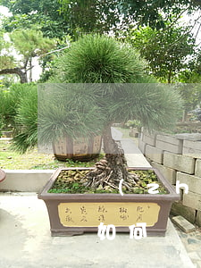 專(zhuān)利署名權(quán)是如何體現(xiàn)的