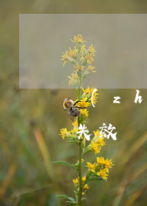 專(zhuān)利逾期未答復(fù)先失效還是先通知-專(zhuān)利答復(fù)過(guò)期了怎么辦
