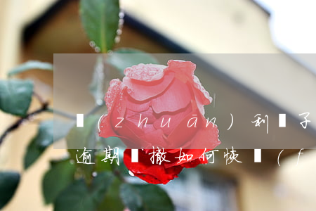 專(zhuān)利電子申請(qǐng)逾期視撤如何恢復(fù)-專(zhuān)利電子申請(qǐng)時(shí)間
