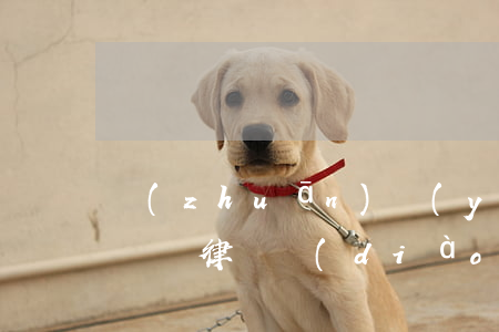專(zhuān)業(yè)債務(wù)糾紛律師調(diào)解(債務(wù)專(zhuān)業(yè)律師協(xié)商)