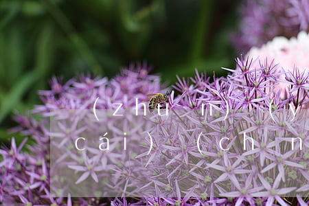 專(zhuān)業(yè)深圳離婚財(cái)產(chǎn)分配律師費(fèi)用(離婚 財(cái)產(chǎn)分割律師)