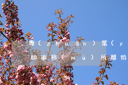 專(zhuān)業(yè)處理離婚的律師事務(wù)所(離婚女律師)