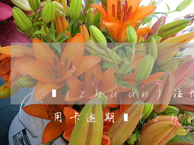專(zhuān)注信用卡逾期如何處理(信用卡逾期專(zhuān)業(yè)處理團(tuán)隊(duì))