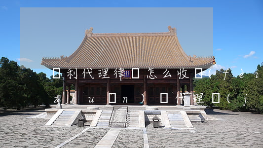 專利代理律師怎么收費(fèi)(專利轉(zhuǎn)讓代理機(jī)構(gòu)怎么收費(fèi))