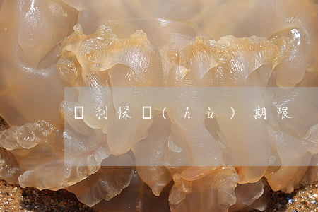 專利保護(hù)期限
