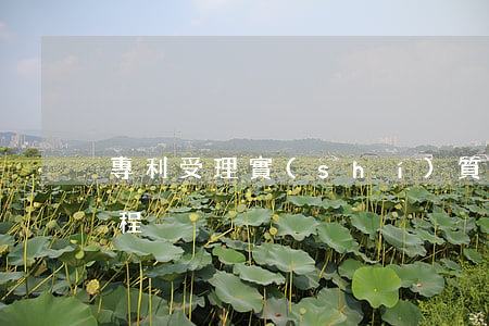 專利受理實(shí)質(zhì)審查流程
