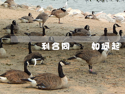 專利合同糾紛如何起訴(專利侵權(quán)糾紛)
