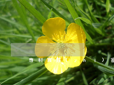 專利實質(zhì)審查是什么意思