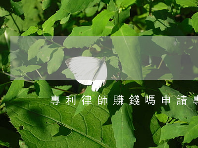 專利律師賺錢嗎(申請專利掙錢嗎)