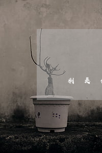 專利是什么意思