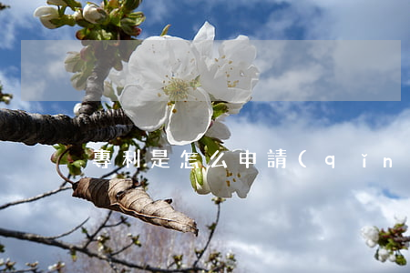 專利是怎么申請(qǐng)