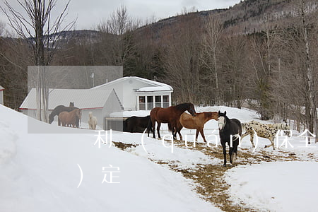 專利權(quán)保全的特別規(guī)定