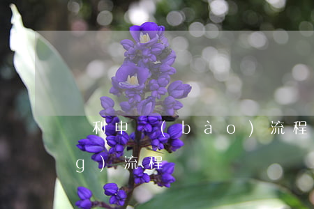 專利申報(bào)流程(專利申請(qǐng)流程)