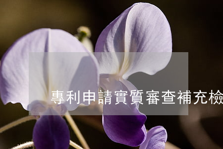 專利申請實質審查補充檢索的情形